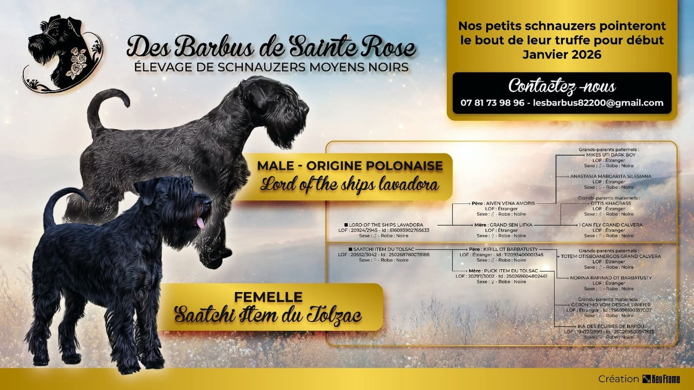 Des bébés de Gunther aux Barbus de Sainte Rose !