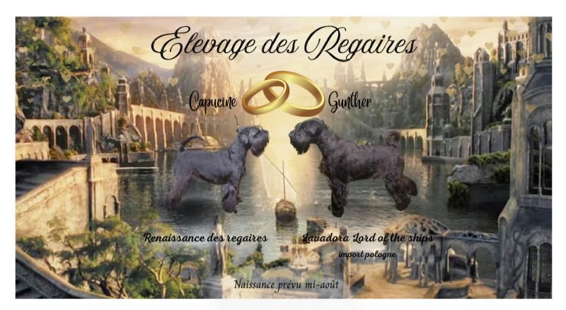 Des bébés à la mi août !!!